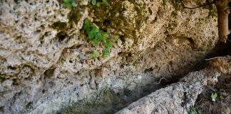 Faraján (Málaga) conserva los vestigios de su pasado musulmán Vestigios musulmanes en Farajan