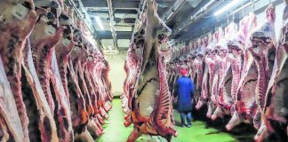 La filosofía halal se diversifica Matadero de Orihuela
