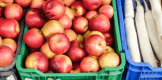 Marruecos, amenazado por la escasez, obligado a repensar su modelo agrícola Productos marroquíes