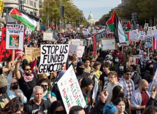 Musulmanes estadounidenses promueven actos por Palestina Manifestación en Washington por Palestina