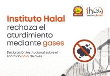 Aturdimiento con gases y sacrificio halal Instituto halal - Rechazo aturdimiento con gases