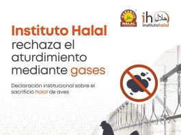 Aturdimiento con gases y sacrificio halal Instituto halal - Rechazo aturdimiento con gases