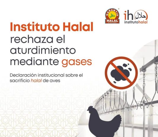 Aturdimiento con gases y sacrificio halal Instituto halal - Rechazo aturdimiento con gases